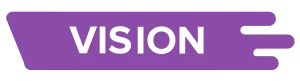 Vission-1-300x81